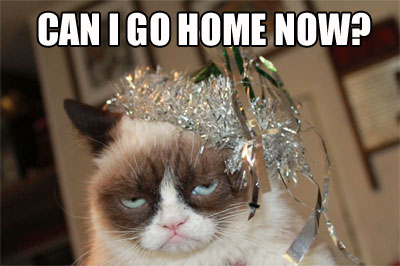 newyeargrumpycat